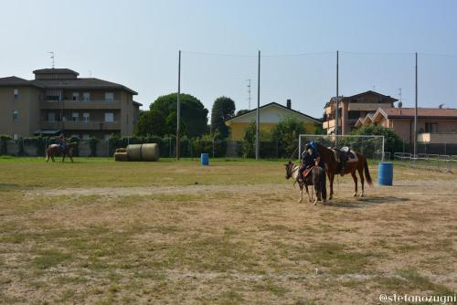 2018 Sagra